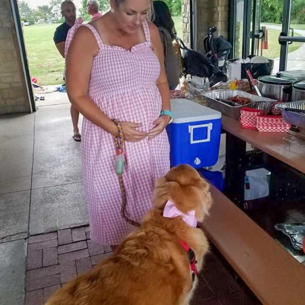 Pink Gingham Dress Plus Size or Maternity